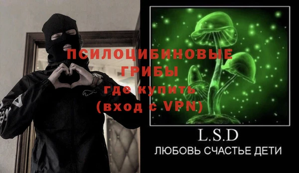 прущий лед Пересвет